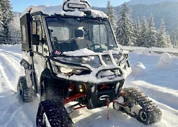 Rezidence Alpina - In Out - 27 * Špindlerŭv Mlýn