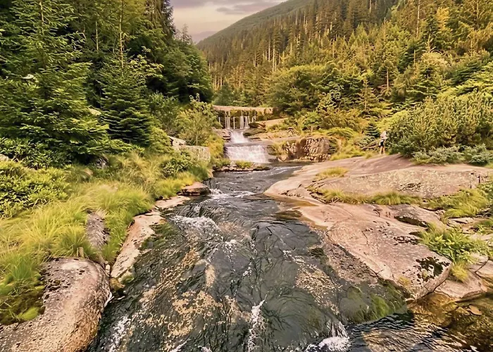 Appartement Rezidence Alpina - In Out - 27 Špindlerŭv Mlýn