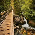 Rezidence Alpina - In Out - 27 شقة Špindlerŭv Mlýn