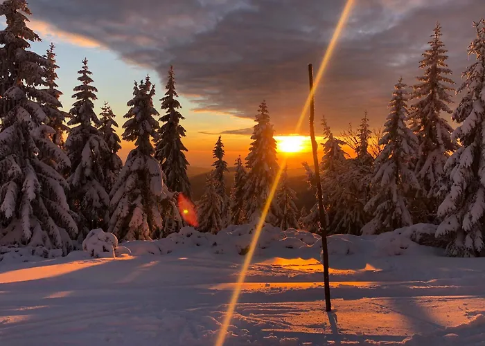 Rezidence Alpina - In Out - 27 شقة Špindlerŭv Mlýn