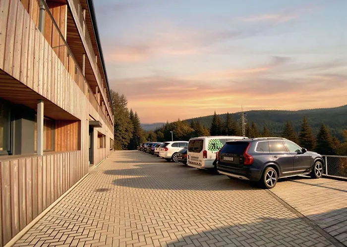 Rezidence Alpina - In Out - 27 * Špindlerŭv Mlýn