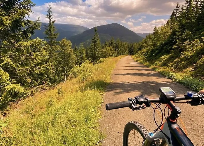 Rezidence Alpina - In Out - 27 Apartment Spindleruv Mlyn